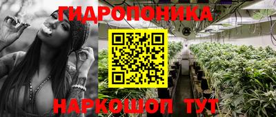 СК Малоярославец