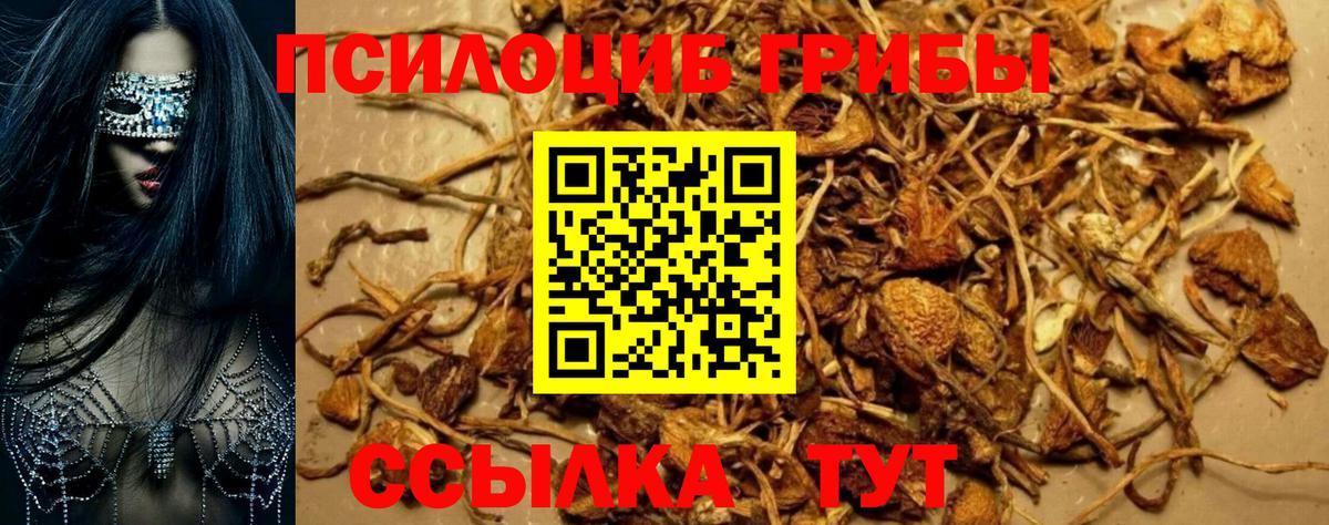 Псилоцибиновые грибы прущие грибы  Вход с VPN  Ирбит 